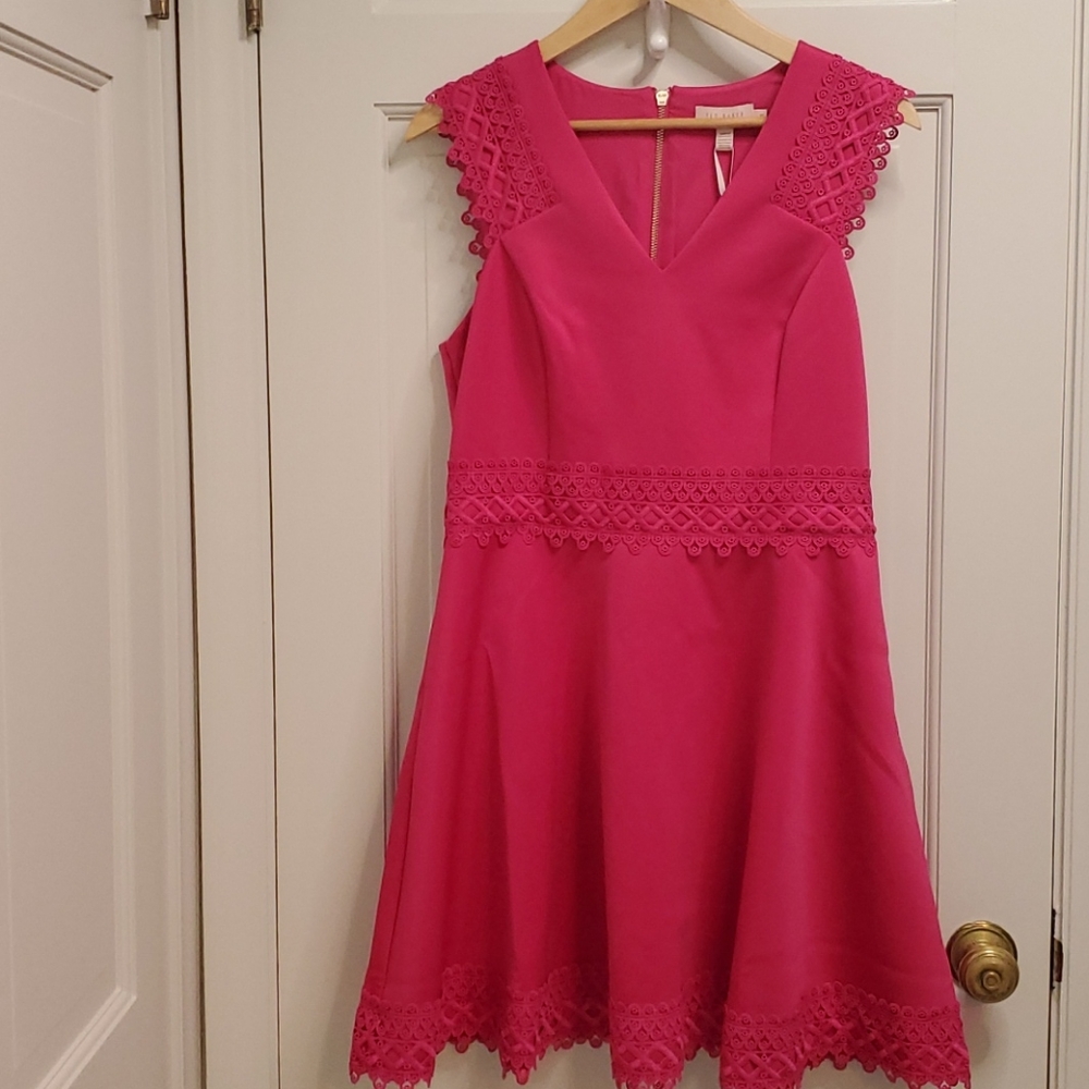 NWT Ted Baker Party Dress